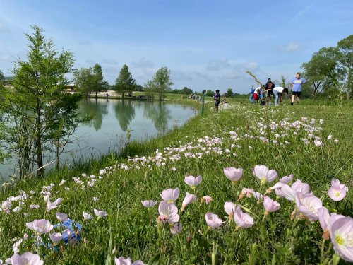 A serene lakeside scene with blooming flowers in the foreground and people enjoying the outdoors in the background.