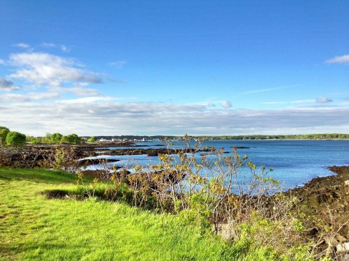 A serene coastal view with blue water, rocky shore, and green grass under a clear sky with scattered clouds.