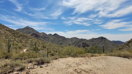 A desert landscape with rolling hills, cacti, and a blue sky dotted with clouds.