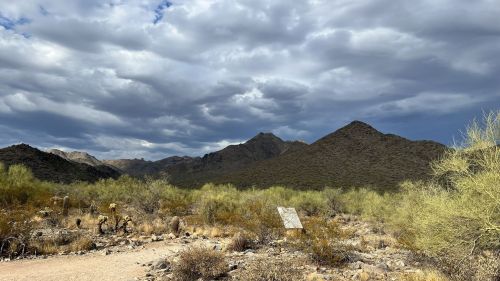 A desert landscape with mountains in the background under a cloudy sky, featuring sparse vegetation and rocky terrain.