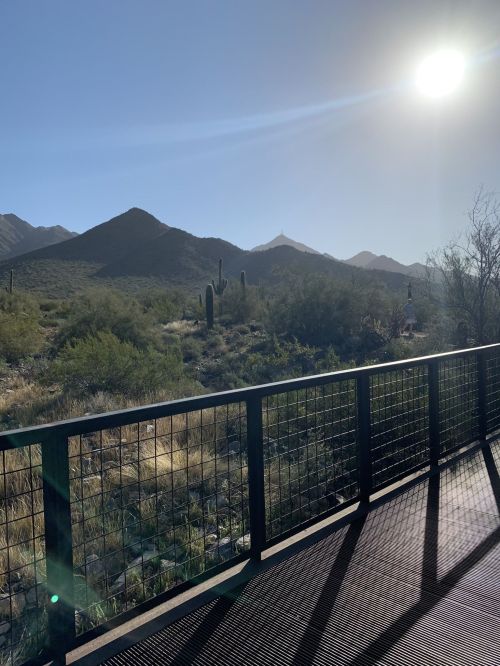 A sunlit desert landscape with mountains, cacti, and a metal railing in the foreground.