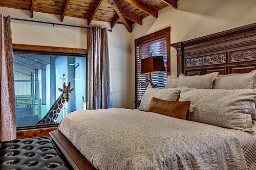 A cozy bedroom with a large bed, featuring a giraffe peeking through a window in the background.