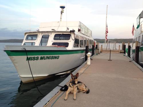 A boat named "Miss Munising" docked at a pier, with a German Shepherd sitting on the concrete beside it.