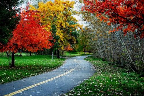 A winding path through a park lined with vibrant autumn trees in shades of red, orange, and yellow.