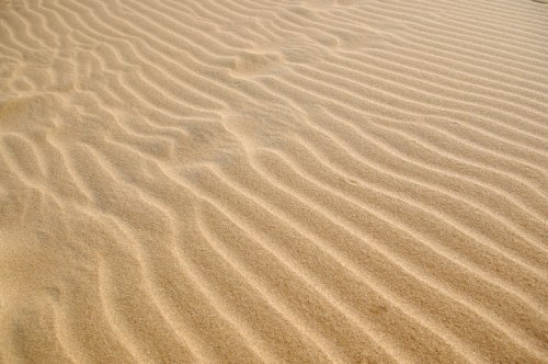Close-up of smooth, wavy patterns in golden sand, creating a serene and textured landscape.