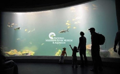 A family observes fish swimming in a large aquarium at the National Mississippi River Museum & Aquarium.