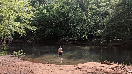 A person stands in shallow water by a forested riverbank, surrounded by lush green trees.