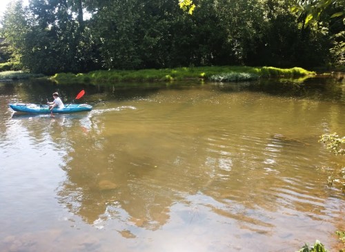 A person paddles a blue kayak on a calm river surrounded by lush greenery and trees.