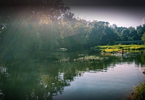 A serene river scene with lush greenery, sunlight reflecting on the water, and a person standing in the shallow area.