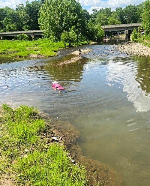 A person in a pink shirt swims in a shallow river, with a dog on the shore and greenery in the background.