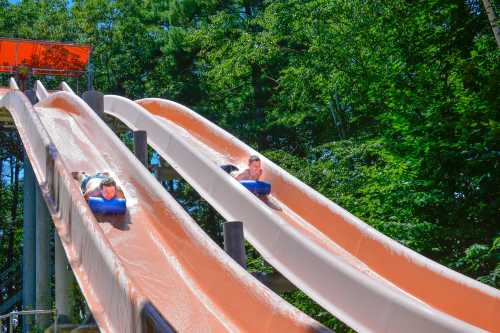 Two children slide down water slides surrounded by lush green trees on a sunny day.