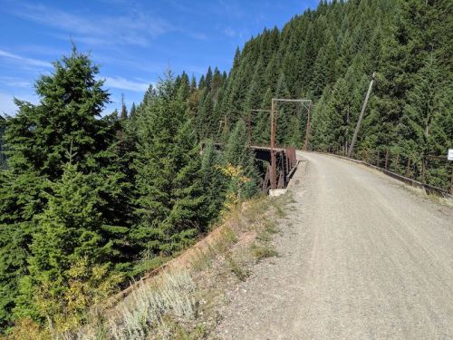 A gravel road curves alongside a forested area, leading to a rustic bridge surrounded by tall green trees.