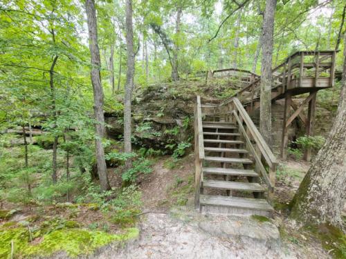 Wooden stairs lead up through a lush green forest, surrounded by trees and rocky terrain.