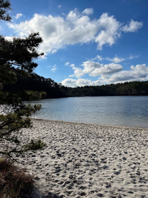 A serene lakeside view with sandy shore, surrounded by trees and a bright blue sky with fluffy clouds.