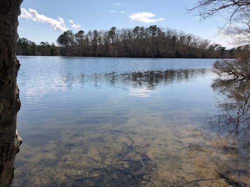 A serene lake scene with calm water reflecting trees and a clear blue sky, surrounded by a natural landscape.