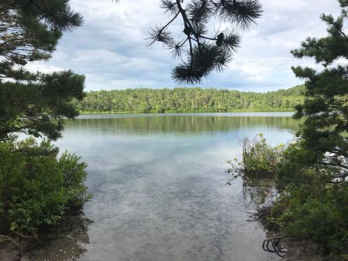 A serene lake surrounded by greenery, with calm waters reflecting the cloudy sky and trees on the shore.