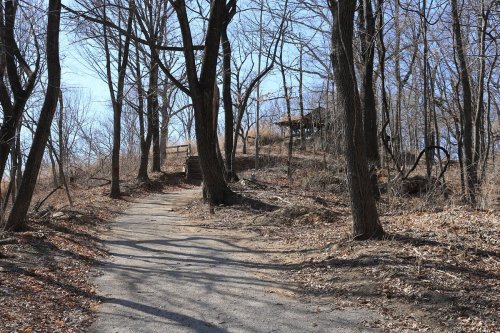 A winding dirt path through a wooded area with bare trees and a hill in the background under a clear blue sky.