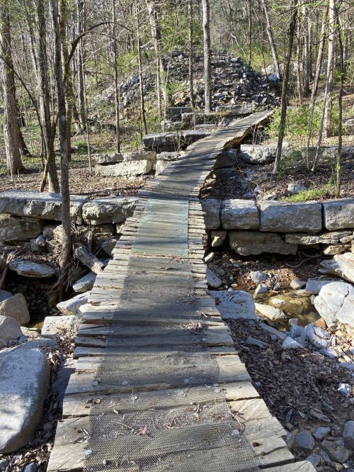 A wooden bridge spans a rocky creek, surrounded by trees and greenery in a forested area.