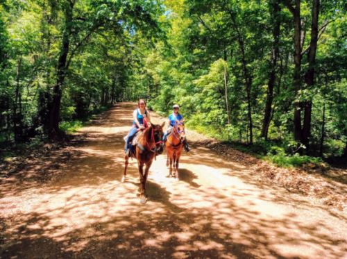 Two riders on horseback walking down a dirt path surrounded by lush green trees.