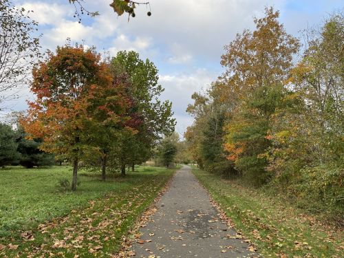 A peaceful pathway lined with trees displaying autumn colors, surrounded by greenery under a cloudy sky.