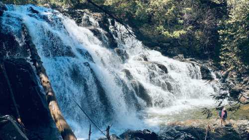 A serene waterfall cascades over rocks, surrounded by lush greenery, with a person standing nearby.