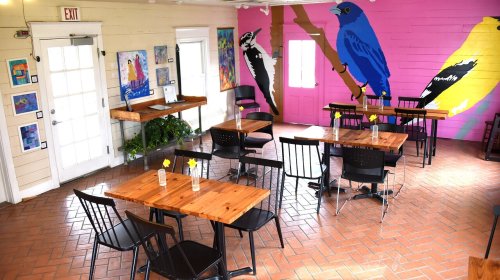 A bright café interior with wooden tables, black chairs, and colorful bird murals on the walls.