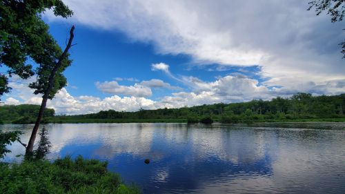 A serene river scene with lush greenery, blue skies, and fluffy clouds reflecting on the water's surface.