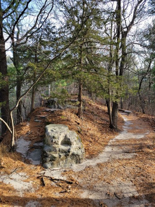 A winding path through a forest with rocky outcrops and pine trees, surrounded by fallen leaves.