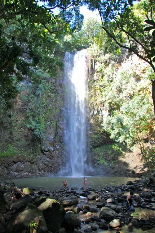 A scenic waterfall cascades into a rocky pool, surrounded by lush greenery and trees. People enjoy the water below.