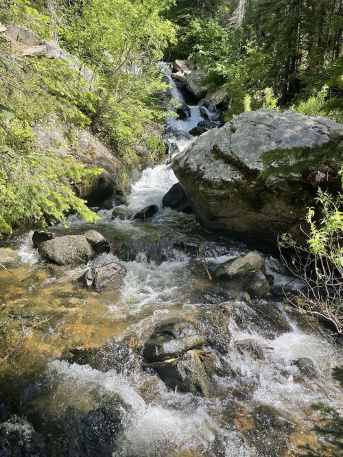 A serene stream flows over rocks, surrounded by lush greenery and trees in a peaceful natural setting.