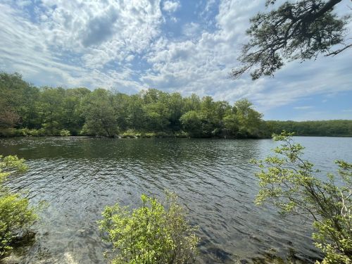 A serene lake surrounded by lush greenery under a partly cloudy sky.