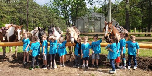 A group of children in blue shirts stands by horses at a farm, surrounded by trees and a greenhouse in the background.