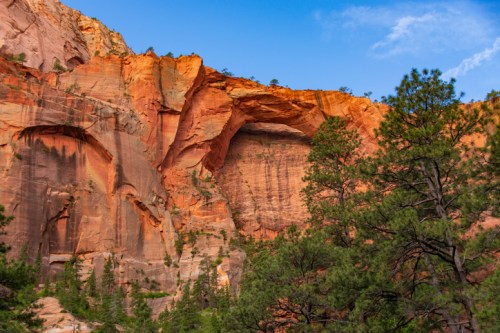 A stunning view of red rock formations and green pine trees under a blue sky in a canyon landscape.