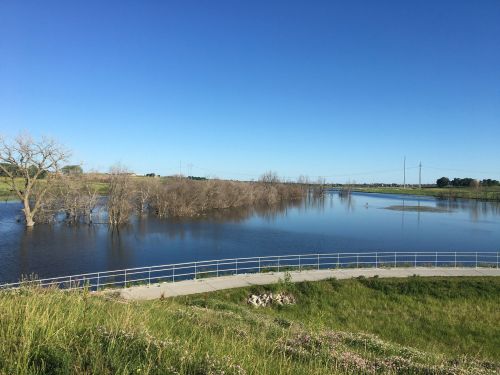 A serene landscape featuring a calm, flooded area with bare trees and a clear blue sky, bordered by green grass.