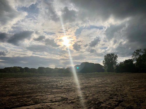 A sunbeam breaks through clouds over a serene landscape with trees and a sandy foreground.