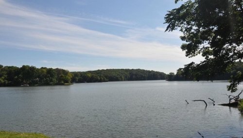 A serene lake surrounded by lush greenery under a clear blue sky. Gentle ripples reflect the calm atmosphere.