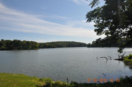 A serene lake surrounded by trees under a clear blue sky, with gentle ripples on the water's surface.