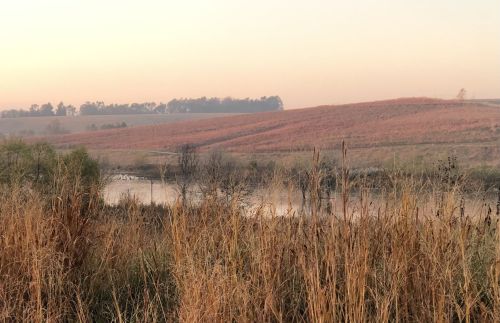 A serene landscape at dawn, featuring rolling hills, tall grasses, and a calm water body reflecting the soft morning light.