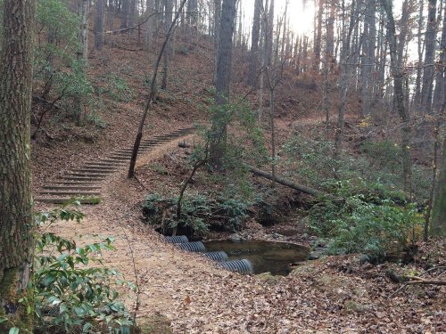 A wooded trail with steps leading up, alongside a small stream and scattered autumn leaves on the ground.
