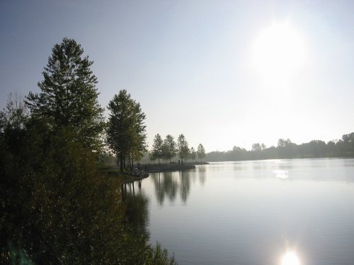 A serene lake scene with trees along the shore, reflecting sunlight and a clear sky.