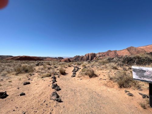 A desert landscape with red rock formations and sparse vegetation under a clear blue sky. A trail leads into the distance.