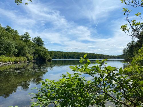 A serene lake surrounded by lush greenery under a bright blue sky with wispy clouds.