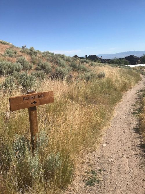A dirt path lined with tall grass and shrubs, featuring a wooden sign that reads "Blackridge." Clear blue sky above.