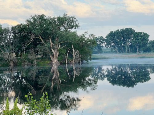 A serene lake scene with trees reflecting on the water, surrounded by mist and a cloudy sky.