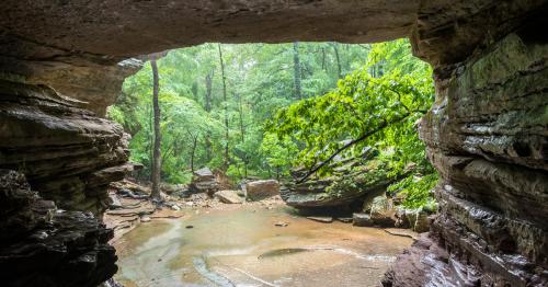 A serene view from a cave opening, revealing lush green trees and a tranquil stream below.