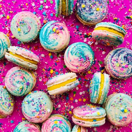 Colorful macarons with swirled pastel icing and sprinkles on a bright pink background.