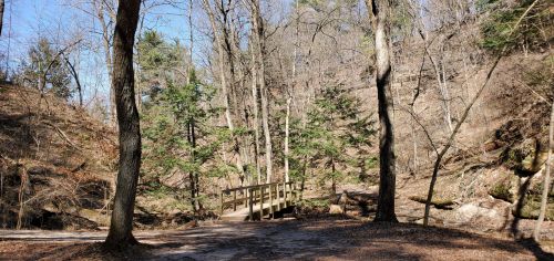 A wooden bridge spans a small creek, surrounded by trees and rocky terrain in a serene, wooded area.