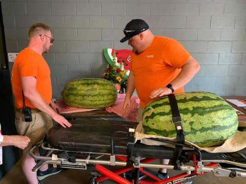 Two men in orange shirts transport large watermelons on a stretcher, with flowers and decorations in the background.