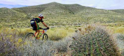 A cyclist rides through a desert landscape with mountains in the background and sparse vegetation around.