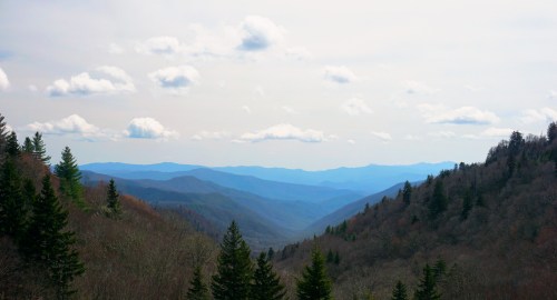 A panoramic view of rolling mountains under a cloudy sky, with lush green trees in the foreground and distant peaks.